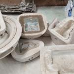 IMG 20250315 125528191